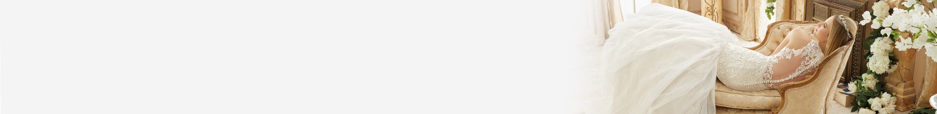 banner-2